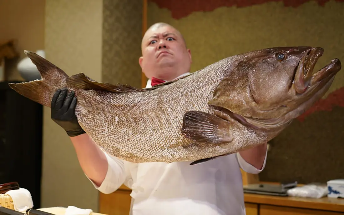 Teruzushi: A Fukuoka Sushi Sensation
