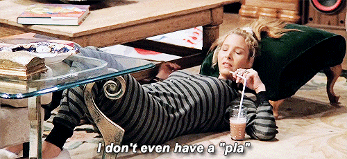 phoebe plan