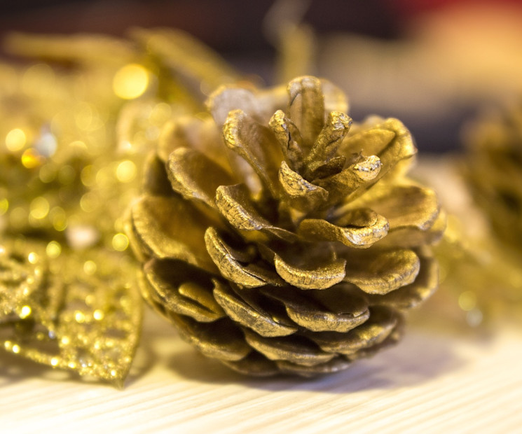Goldener Tannenzapfen und weihnachtliche Dekoration
