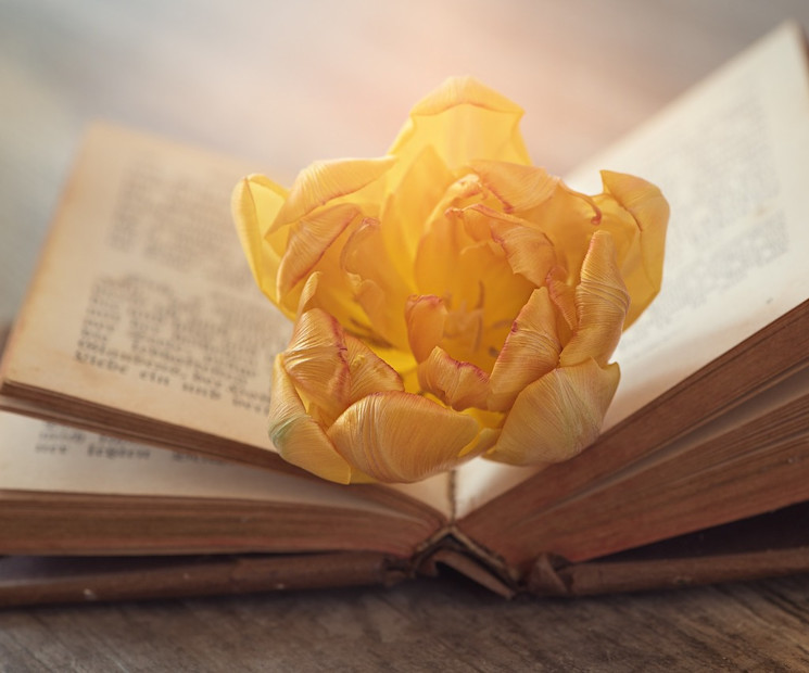 Ostern Gedichte Buch