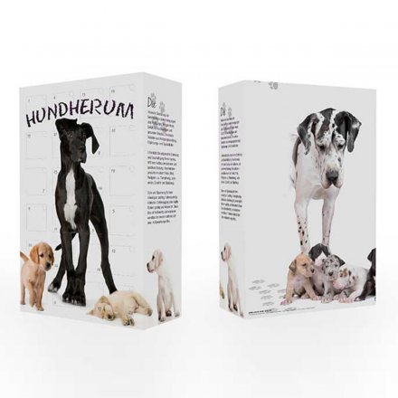 adventskalender für hunde - hundherum