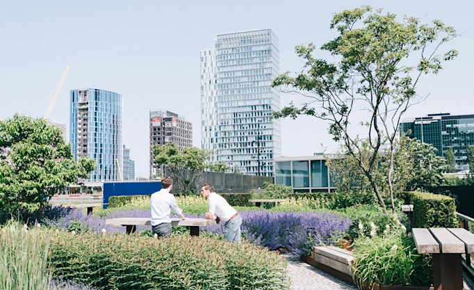 White-Label-Banking: Wachstumshelfer für FinTechs