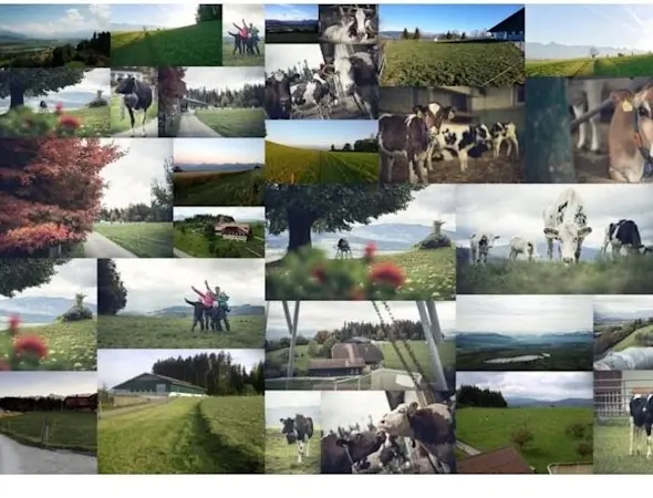 Panorama teaser (1) (1)