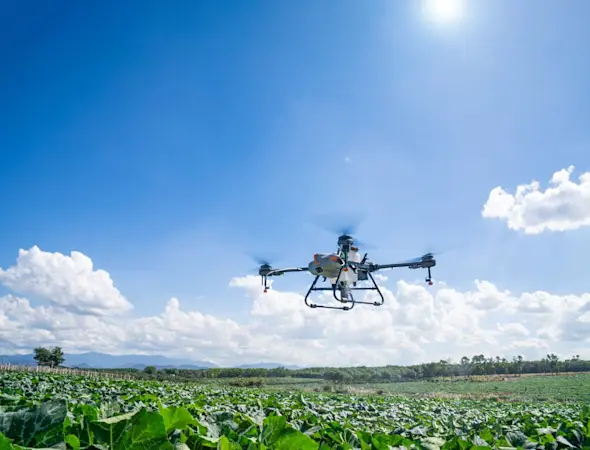 LAVEBA Drohnenservice