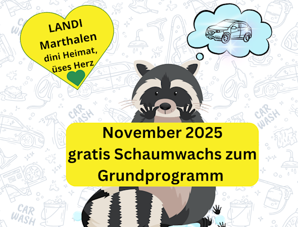 Monatsaktion Carwash Marthalen