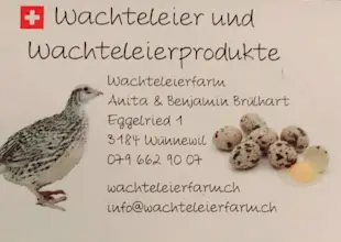 Wachteleierfarm neu.jpg