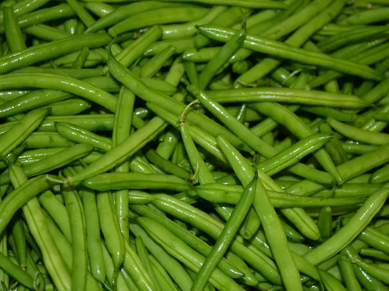 Bohnen Bild Haufen Bohnen