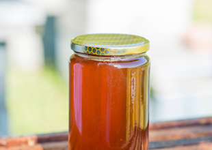 Honig LANDI Züri Unterland