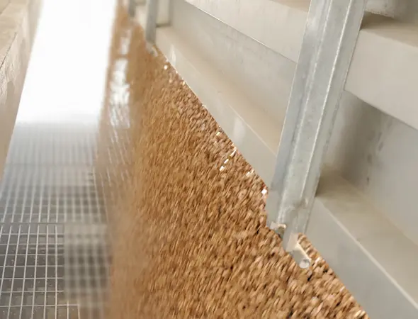 Marktgerechte Preise, verlässliche Auszahlung und transparente Abrechnung