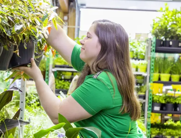 LANDI Laden Mitarbeiterin beim Blumen einräumen