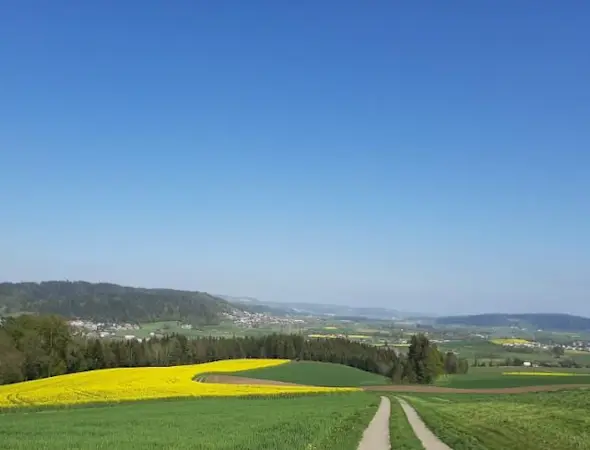 Beratung für Feld und Stall