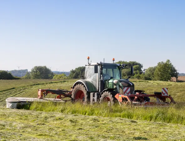 Schnitthöhe beachten