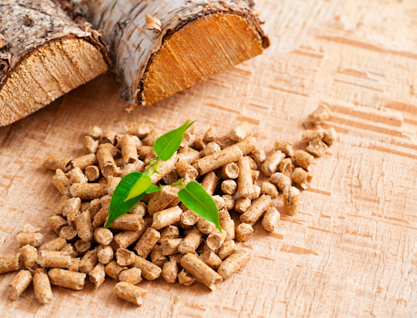 Nachhaltige Energiebomben