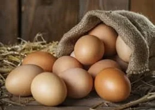 Langenegger Stefan Eier