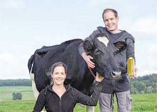 Sunnehubel Brönnimann / Rufer