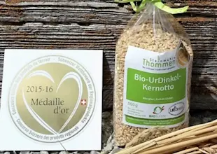 Bio-UrDinkel-Kernotto