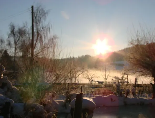 FORST & HOLZ SERVICE WINZENRIED, HERZWIL