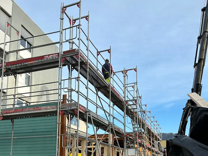 WhatsApp Image 2024-11-12 at 12.58.34