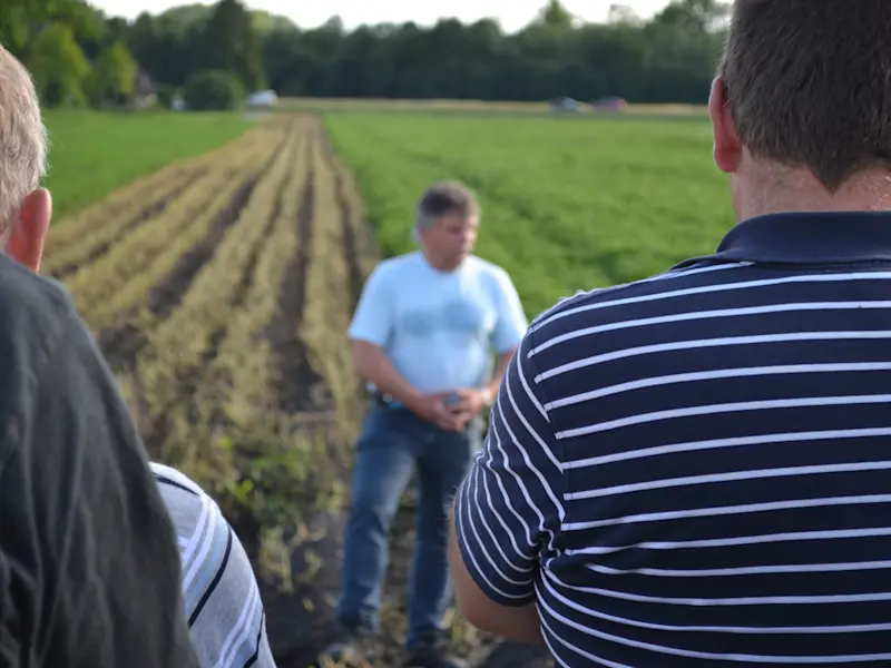 Flurbegehung Kartoffeln Bild Flurbegehung Kartoffeln