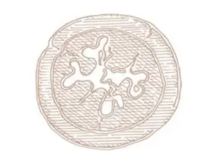 Logo Ge-Nuss-Boutique