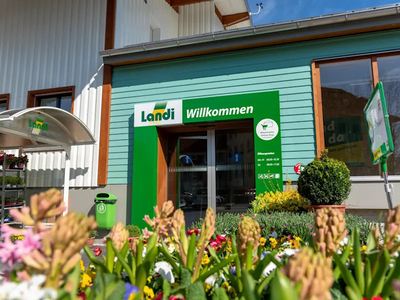 3. März 2021: Eröffnung DSC06115-Bearbeitet.jpg