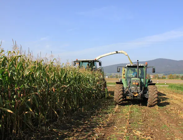 Informationen zur Trocknung