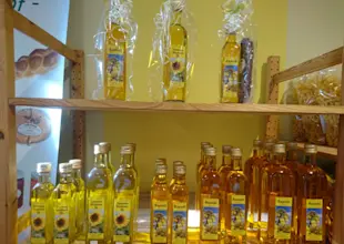 schwyn rapsoel 1-1024x768