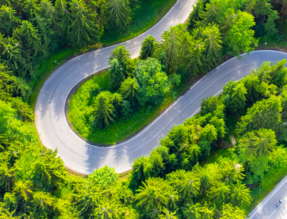 Rohstoff aus Schweizer Wälder