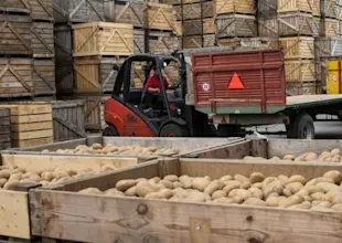 Agrar, Kartoffelzentrum