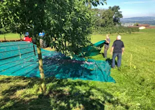 Peter Meier Zwetschgen gewinnen