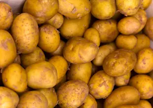 Hof Schlafhus Kartoffeln