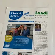 cheval actuel3.jpg