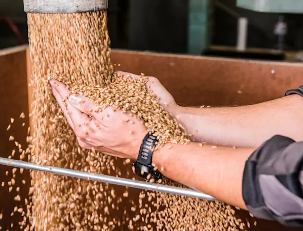 ThermoSem – mit Dampf gereinigt