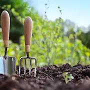 istockphoto-165831199-612x612