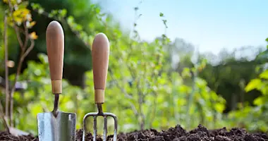 istockphoto-165831199-612x612