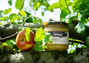 Landi Thun Regio Hof Haldemann Apfelmuss