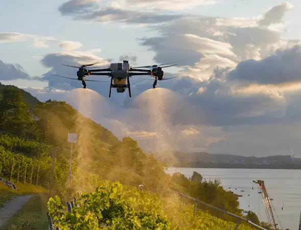 Pflanzenschutz Weinbau - VitiDrone