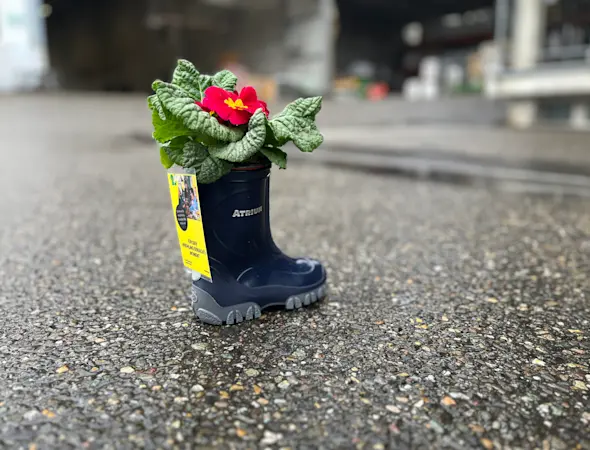 Die Stiefel-Aktion begeistert!