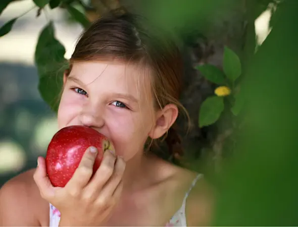 Warum zählt Regionalität?