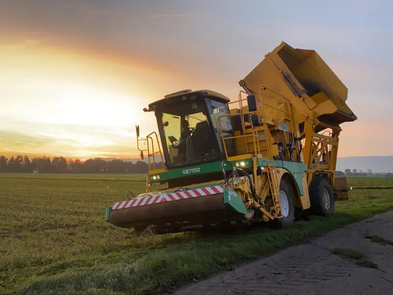 Bohnenerntemaschine Bohnenerntemaschine Ploeger bei Sonnenuntergang