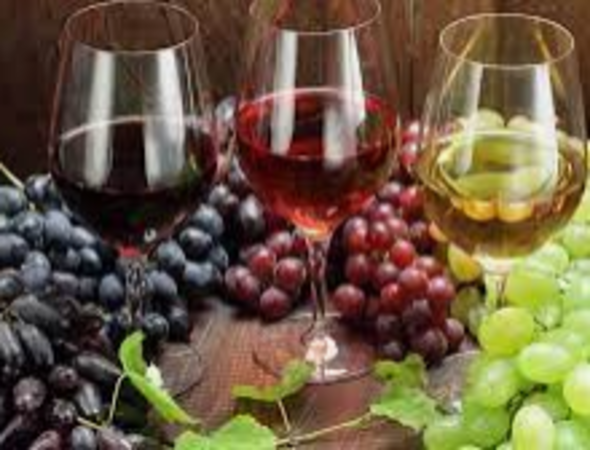 Bienvenue dans vos LANDI préférées de Cossonay, Orbe et Yverdon ! (1)