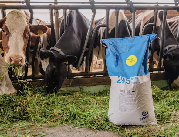 230209_UFA-NuU Klimazertifikat_01.jpg