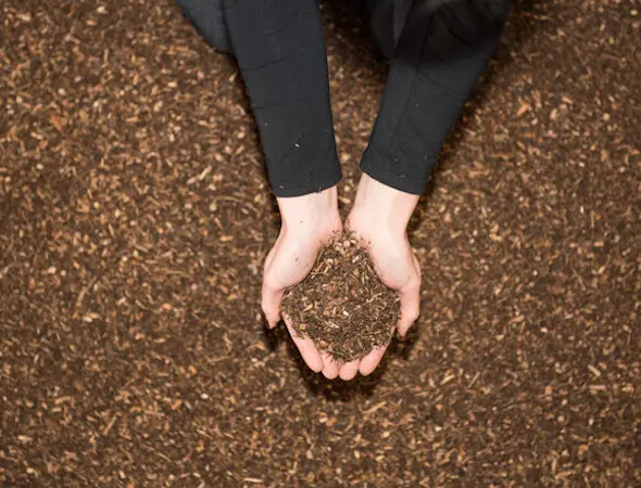 bio-waldboden-pferdeeinstreu