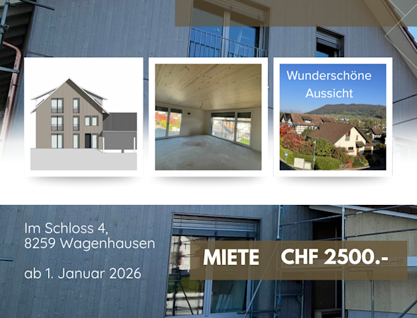 4.5-Zi Wohnungen in Wagenhausen