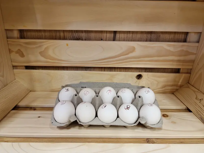 10er Eier - Bruno Spring 10er Eier - Bruno Spring