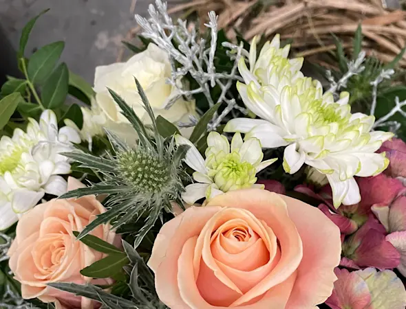 Blumen von Wunderblüte