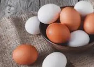 eier.jpg