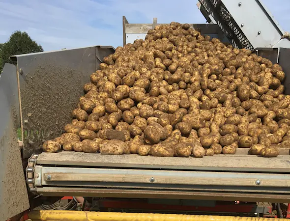 Tüscher Samuel aus Richigen