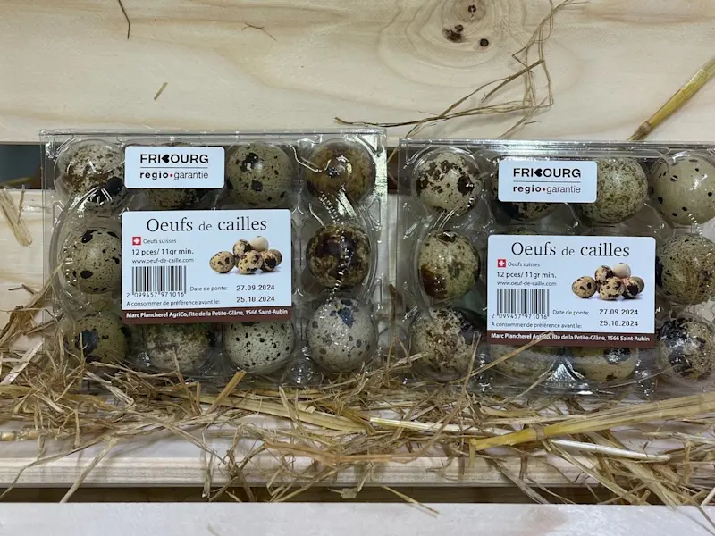 Wachteleier - Marc Plancherel Wachteleier - Marc Plancherel