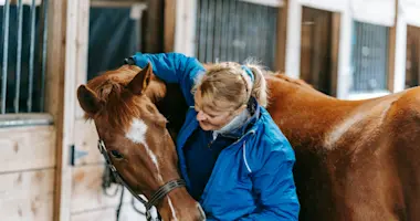 Pferdekompetenz LANDI Zola 6